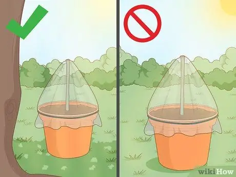 Клонирование растений Шаг 10