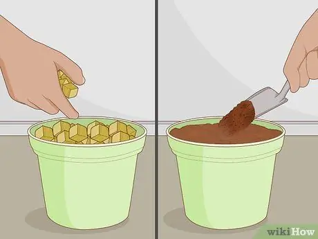 Клонирование растений Шаг 4