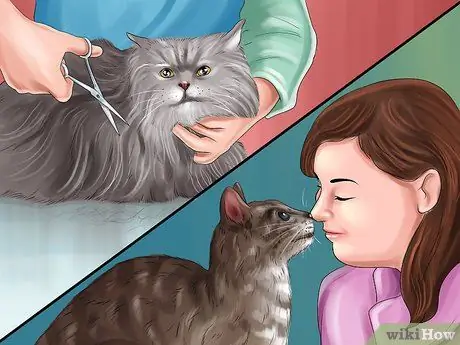 Стать человеком-кошкой Шаг 2 Стать человеком-кошкой Шаг 2