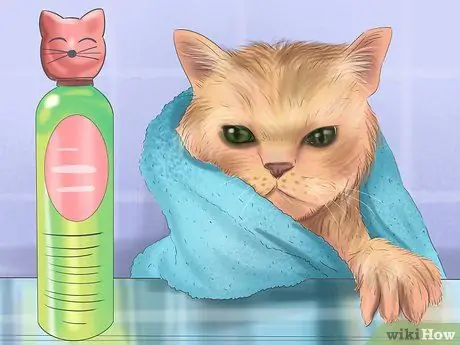 Искупайте кошку Шаг 3 Искупайте кошку Шаг 3