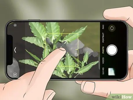 Сделайте фотографии в высоком разрешении Шаг 6