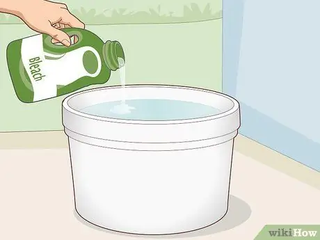 Чистка ракушек из ракушек Paua Step 1