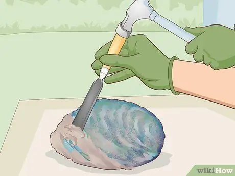 Чистка ракушек из ракушек Paua Step 10