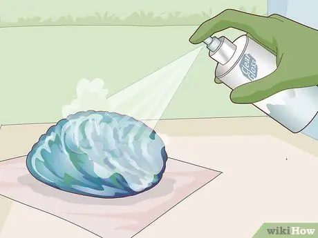Очистка ракушек из ракушек Paua Step 12