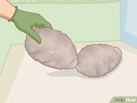 Очистка ракушек из ракушек Paua Step 6