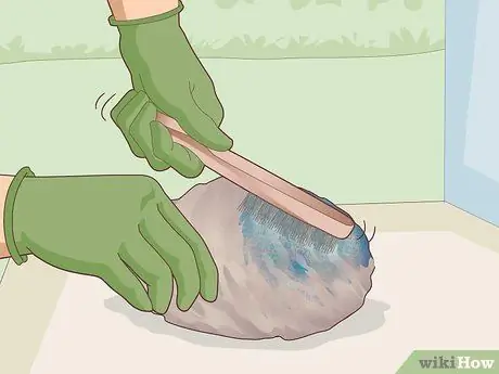 Очистка ракушек из ракушек Paua Step 9