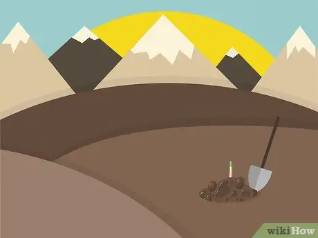 Растение в бедных почвах Шаг 08