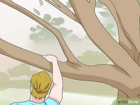 Повесьте качели на дереве. Шаг 2