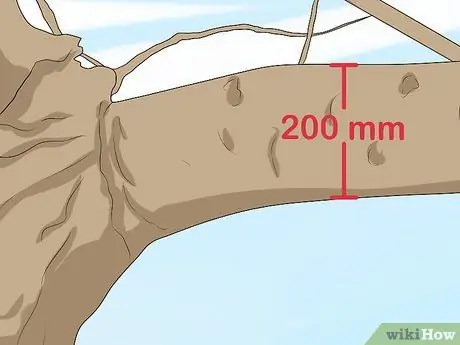 Повесьте качели на дереве. Шаг 4