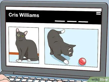 Получите работу фотографом Шаг 10