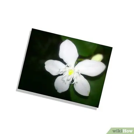 Сделайте фотографию, которую хотите. Шаг 1