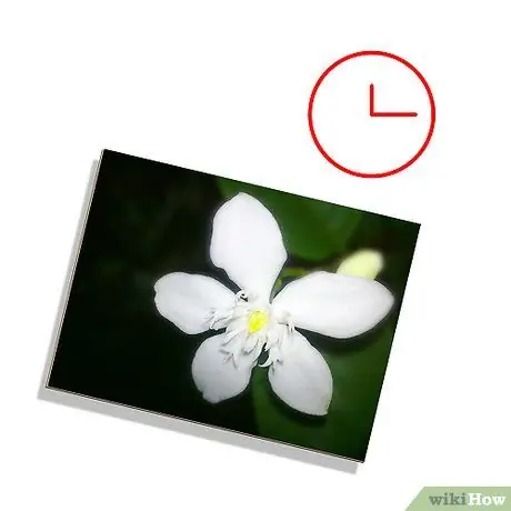 Дайте клею полностью высохнуть. Шаг 4