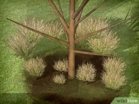 Сделайте бутылочное дерево. Шаг 4