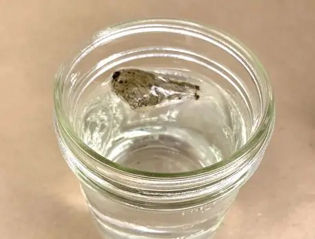 Blate Papes, шаг 3