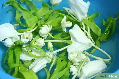 Сделать духи для чучела животных Шаг 4
