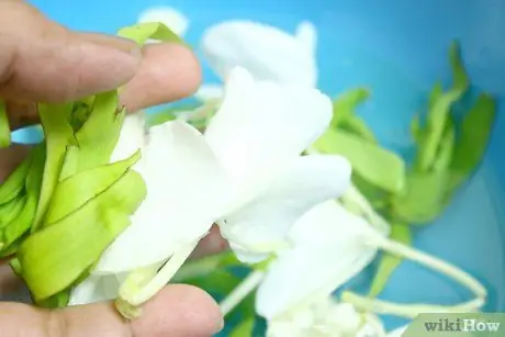 Сделать духи для чучела животных Шаг 6
