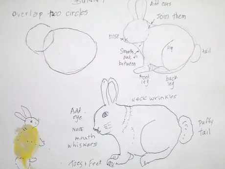 Drawabunn