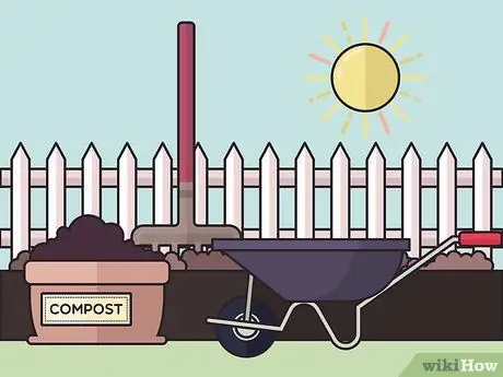 Посадить бегущий бамбук Шаг 10