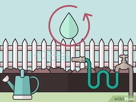 Посадить бегущий бамбук Шаг 11