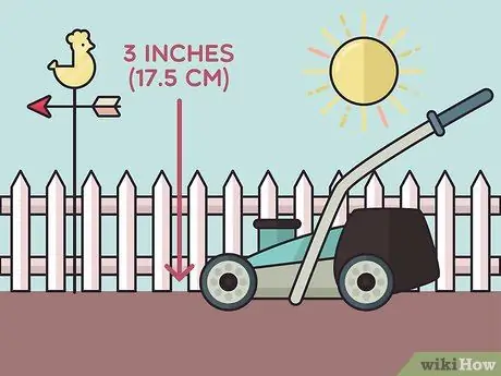 Посадить бегущий бамбук Шаг 3
