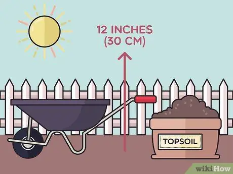 Посадить бегущий бамбук Шаг 4