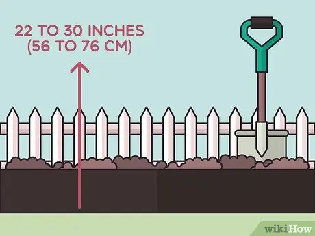 Посадить бегущий бамбук Шаг 5