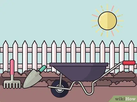 Посадить бегущий бамбук Шаг 6