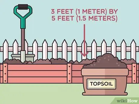 Посадить бегущий бамбук Шаг 7