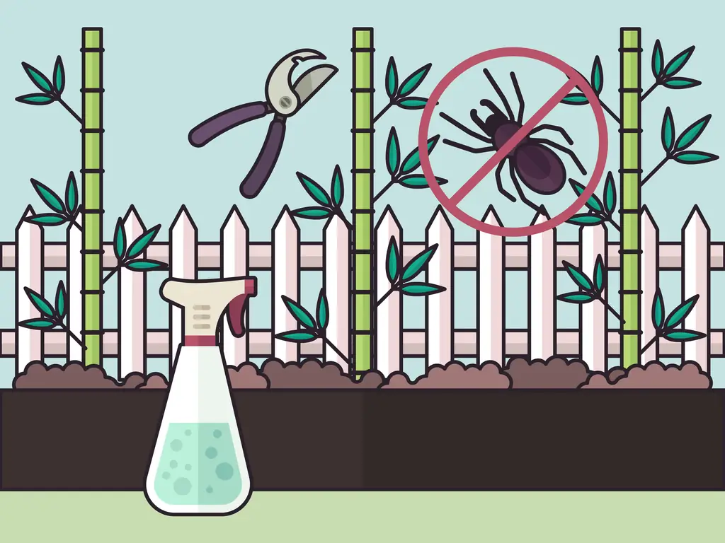 Как посадить бегущий бамбук (с иллюстрациями)