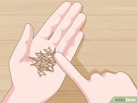 Купить Bamboo Step 7