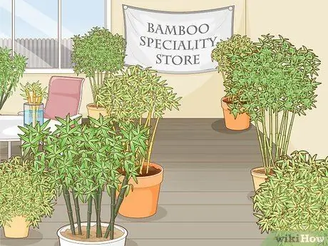 Купить Bamboo Step 8