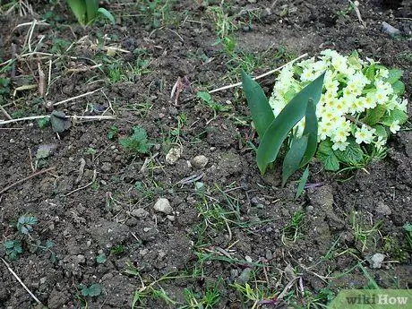 Сделать грязь Шаг 13