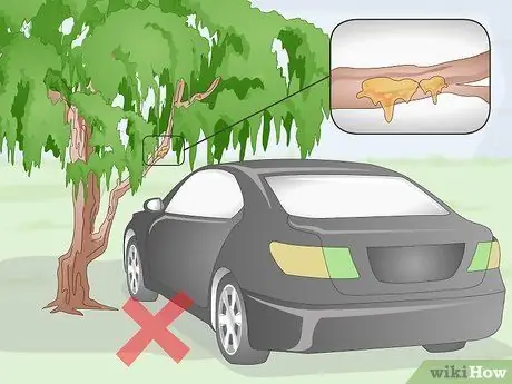 Protect Clear Coat Step 4