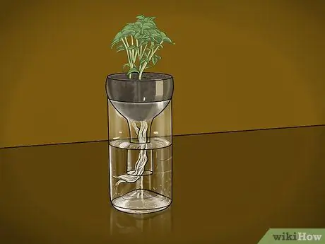 Бутылки для вина Upcycle Step 5
