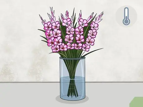 Заморозить сухие цветы Шаг 14