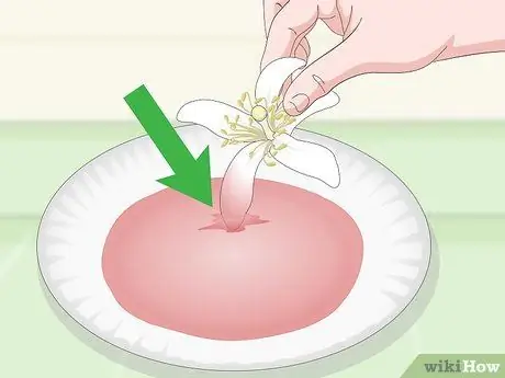 Краска Шелковые Цветы Шаг 10