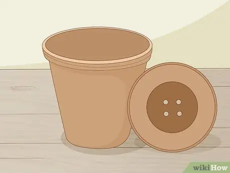 Посадить суккуленты Шаг 1