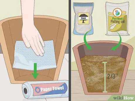 Посадить суккуленты Шаг 2