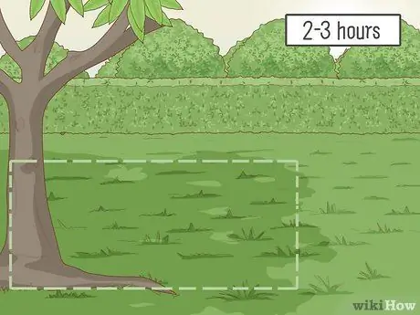 Посадить суккуленты Шаг 6