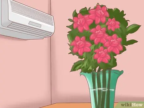 Сделайте розы дольше, шаг 4