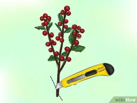 Консервирование ягод для цветочных композиций Шаг 2