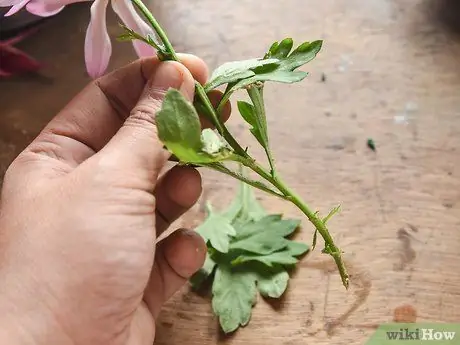 Сделайте букет из засушенных цветов Шаг 5