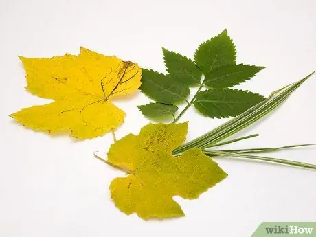 Уложить листву, шаг 1