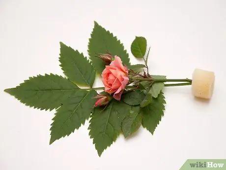 Уложить листву Шаг 6