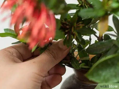 Создание цветочных композиций для рукоделия Шаг 9