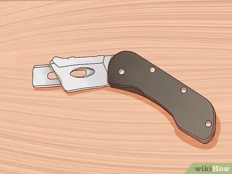 Remove Shellac Step 10