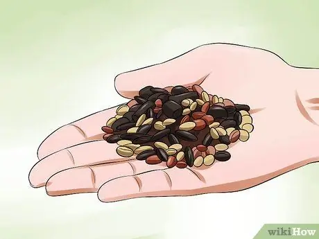 Отпугивание белок из кормушек, шаг 5