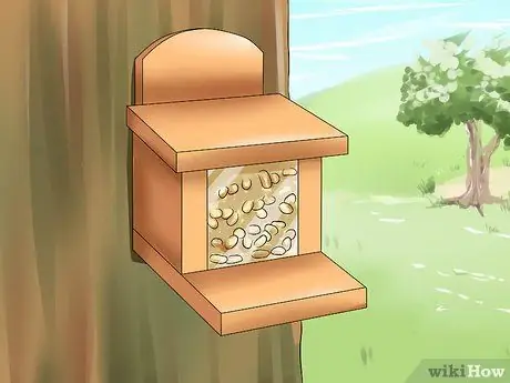 Отпугивание белок из кормушек, шаг 6