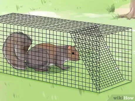Отпугивающие белки из кормушек, шаг 8