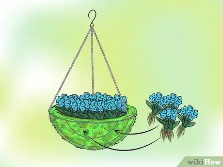 Сделайте подвесную корзину из мха. Шаг 10